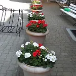 Okulski Grand Rozewie I פארק נופש 2*