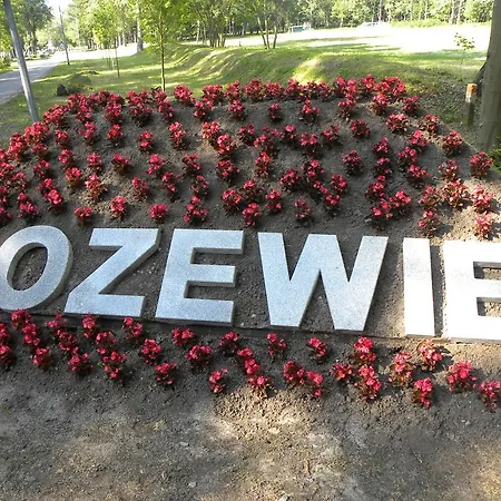 Okulski Grand Rozewie I