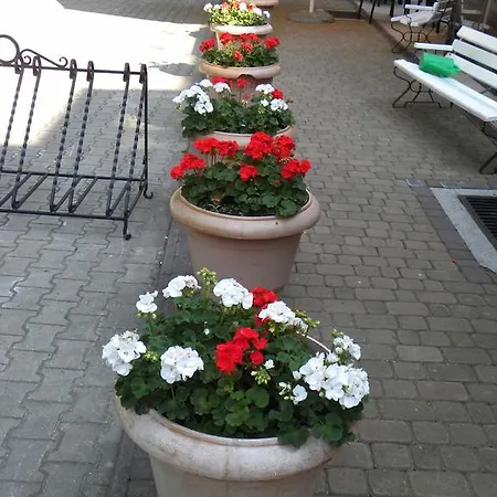 Okulski Grand Rozewie I Parque de vacaciones 2*