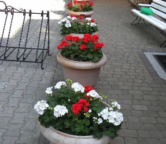 Okulski Grand Rozewie I Holiday park 2*